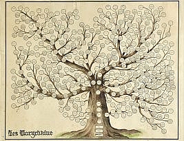 Os principais segredos para montar uma Árvore Genealógica e ter sucesso na pesquisa de antepassados